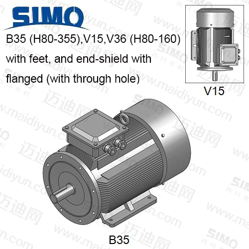 YE2(IP55)系列-機座帶底腳、端蓋上有凸緣(帶通孔)電動機